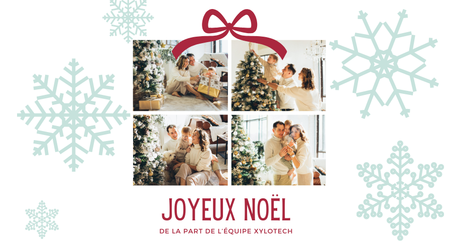 Joyeux Noël de l'équipe Xylotech !